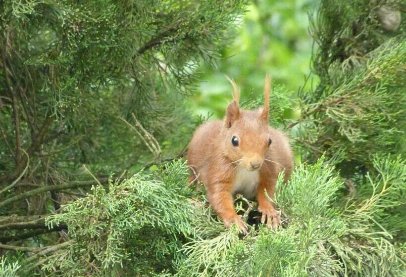 צימר Domaine De Bonnet