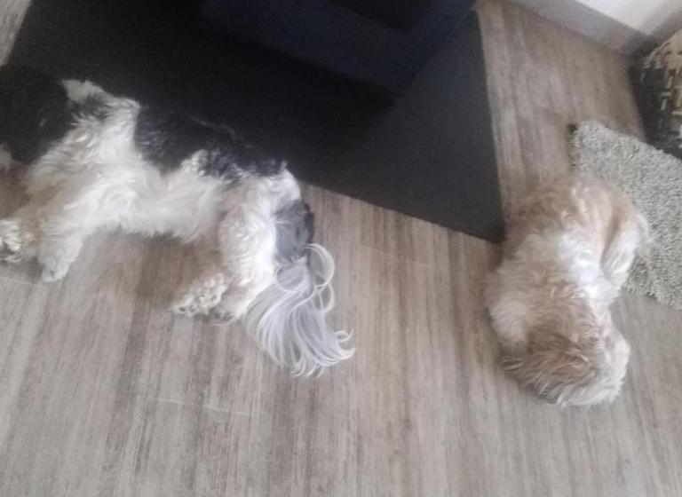 住宿加早餐 Virginie Et Serge