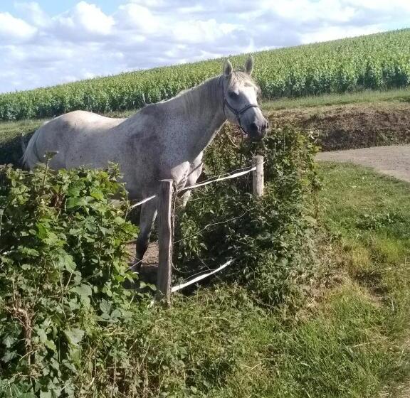 住宿加早餐 Virginie Et Serge