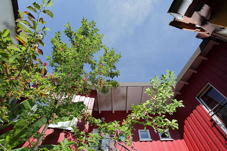 בית מלון כפרי Zum Riesen