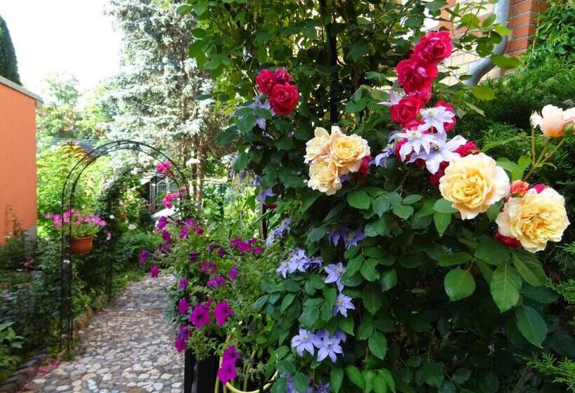 膳宿费 Art Ddr Eig Bad Dir Im Zim, 3 Og, Treppensteigen Kein Fruehhstück Keine Kueche Nur Uebernachtung Par