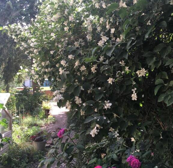 Пансион Villa Harmonie