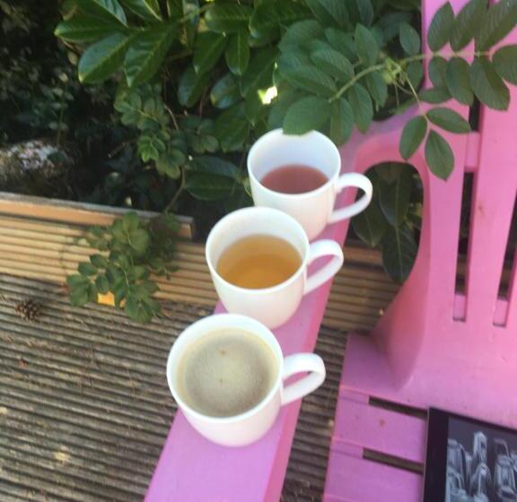 Пансион Villa Harmonie