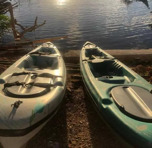 ユースホステル Sanctuaria Treehouses Busuanga