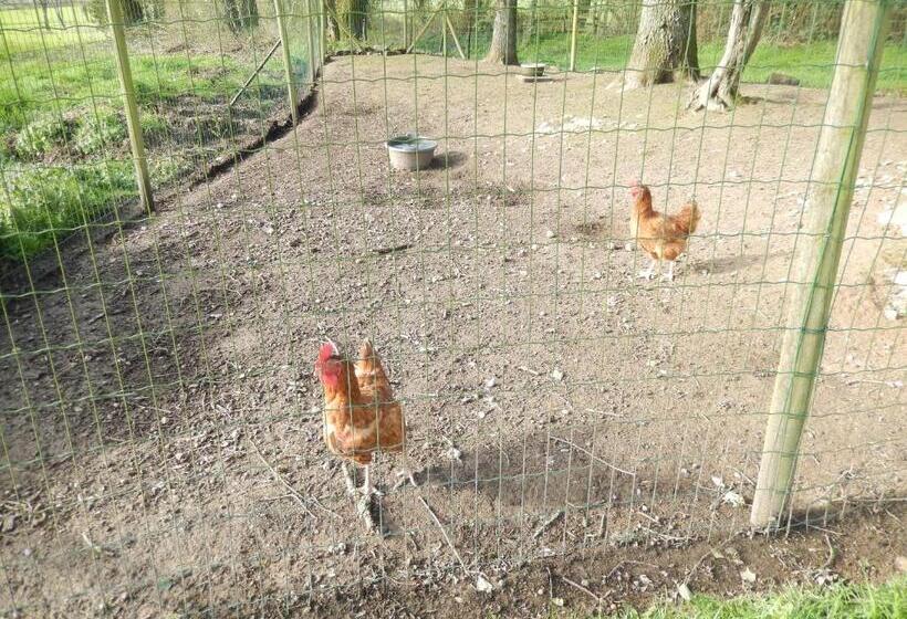 Bed and Breakfast Studio Appart  Les Jards