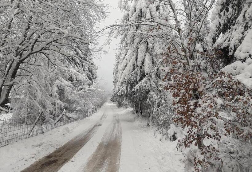 مبيت وإفطار La Vie En Rose