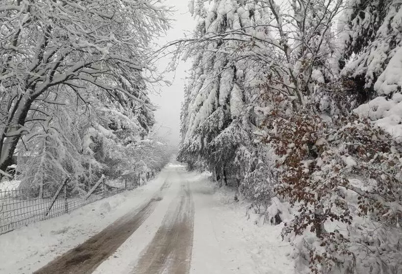 ベッドアンドブレックファースト La Vie En Rose