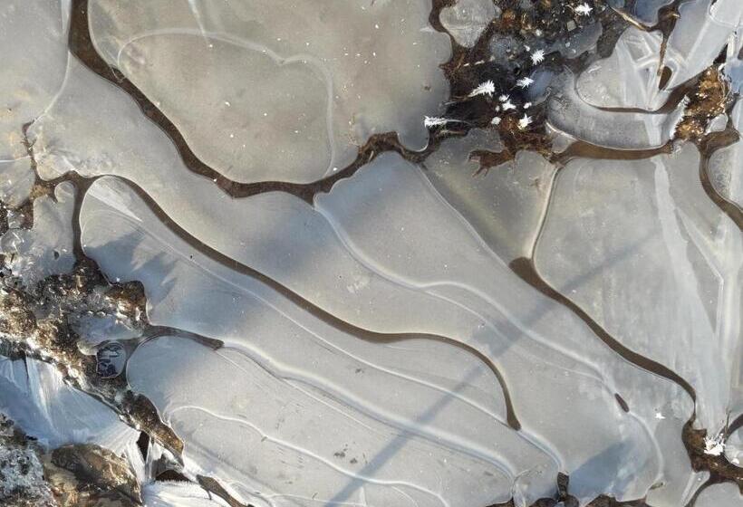 مبيت وإفطار La Vie En Rose