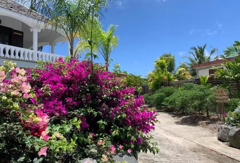 هتل Domaine Saint François