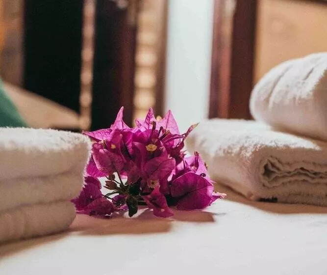 هتل Domaine Saint François