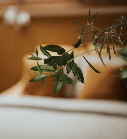 ペンション Guesthouse In Het Voorhuys