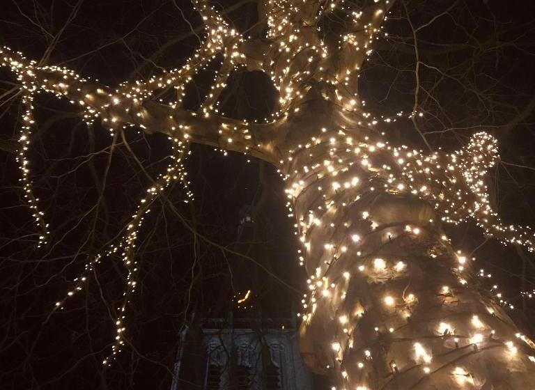 ペンション Guesthouse In Het Voorhuys