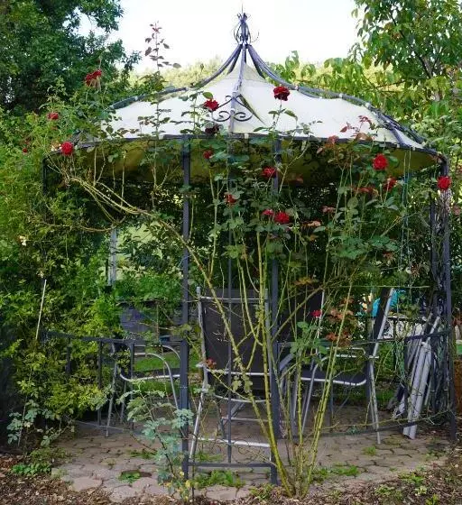 Aamiaismajoitus (B&B) Gästehaus Strini