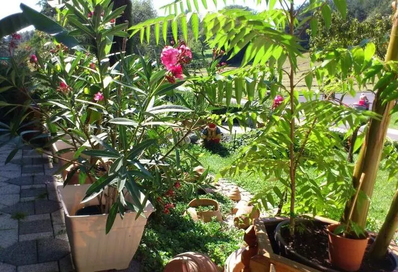 Aamiaismajoitus (B&B) Gästehaus Strini