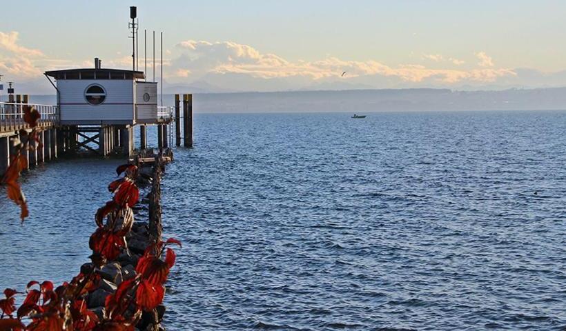 Otel Ferienhof Berger Ug