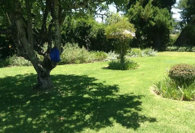 ペンション Clarens Socialites, Thatch Cottage #1