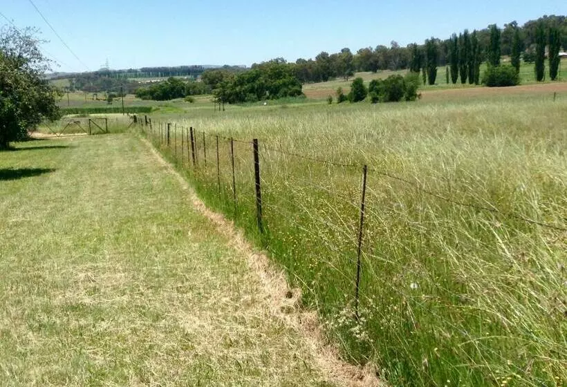 ペンション Clarens Socialites, Thatch Cottage #1