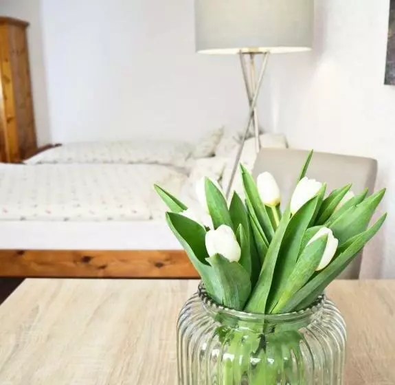 Majatalo Gasthaus Zum Alten Euler