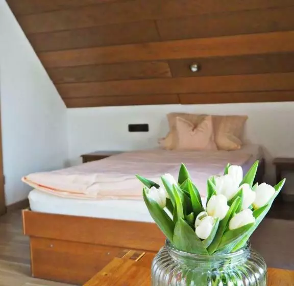 Majatalo Gasthaus Zum Alten Euler