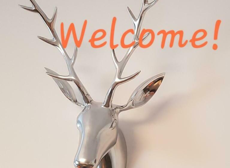 بنسيون Haus Sonnenblick  Apartments