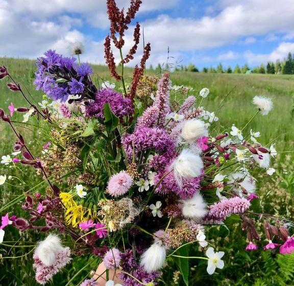 بنسيون Horská Bouda Kuprovka