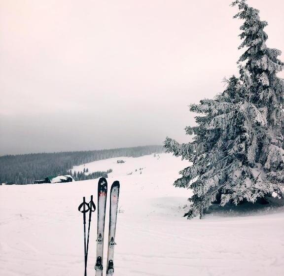 بنسيون Horská Bouda Kuprovka