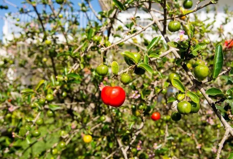 ペンション Moradas Palhoça