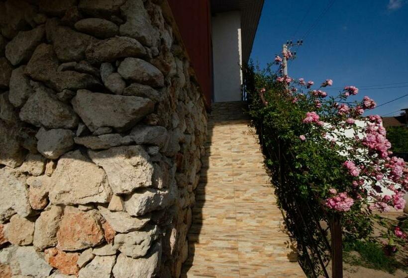 پانسیون Opera Vama Veche