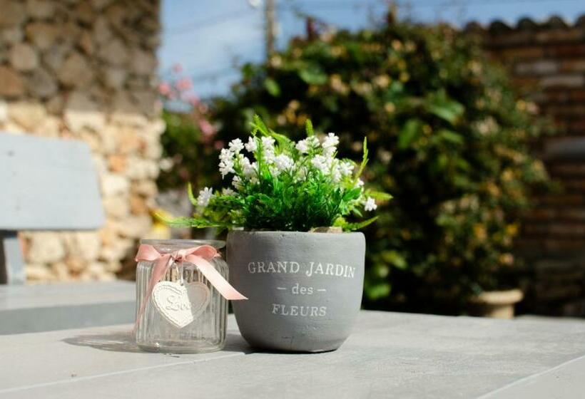 پانسیون Opera Vama Veche