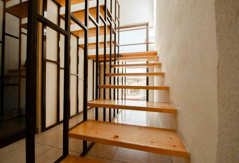 پانسیون Opera Vama Veche