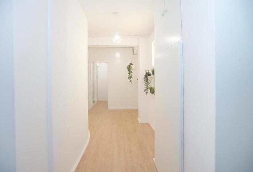 هاستل Porto Automatic