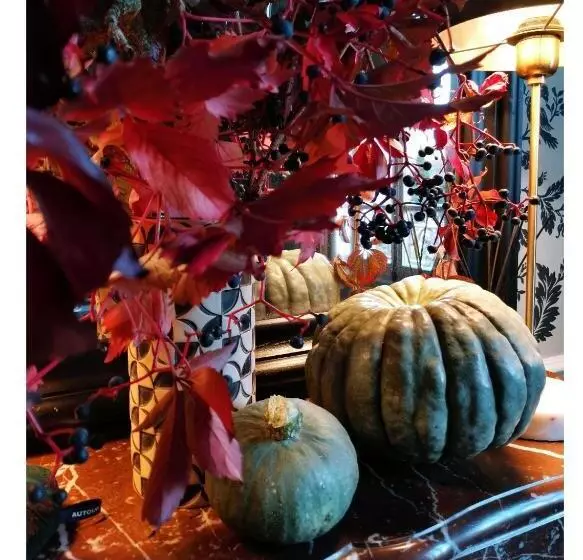 Aamiaismajoitus (B&B) La Maison De Ville