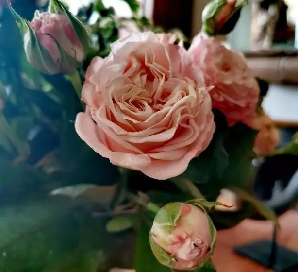 Aamiaismajoitus (B&B) La Maison De Ville