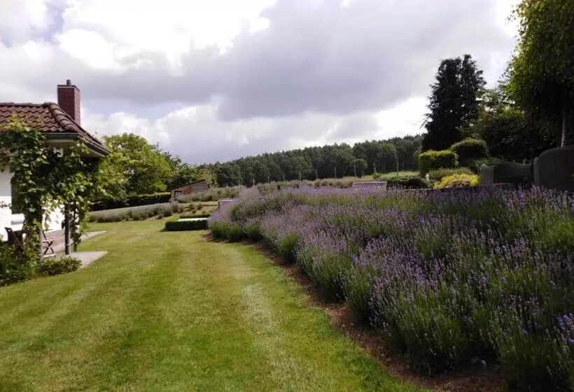 Aamiaismajoitus (B&B) La Milardière Chambres D Hôtes