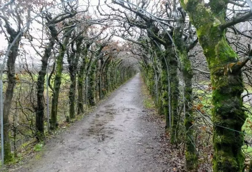 Aamiaismajoitus (B&B) La Milardière Chambres D Hôtes