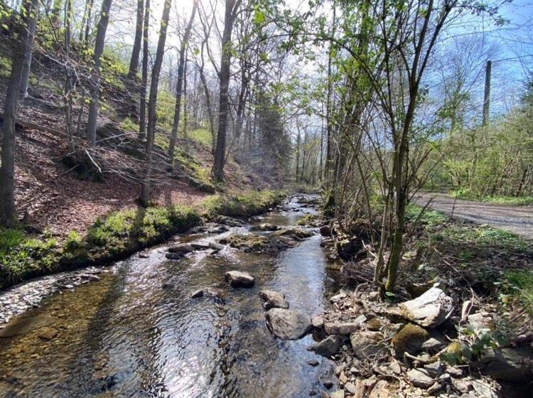 ベッドアンドブレックファースト La Milardière Chambres D Hôtes