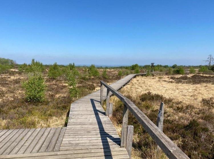 ベッドアンドブレックファースト La Milardière Chambres D Hôtes