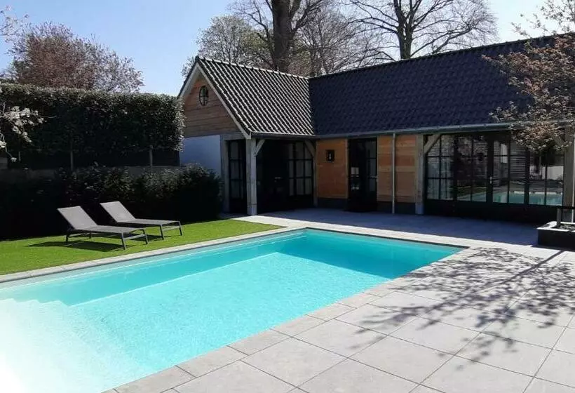 Aamiaismajoitus (B&B) Sjiek Basiliek