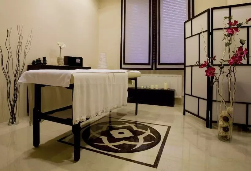 Отель Ambasador Centrum