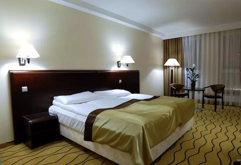 Отель Ambasador Centrum