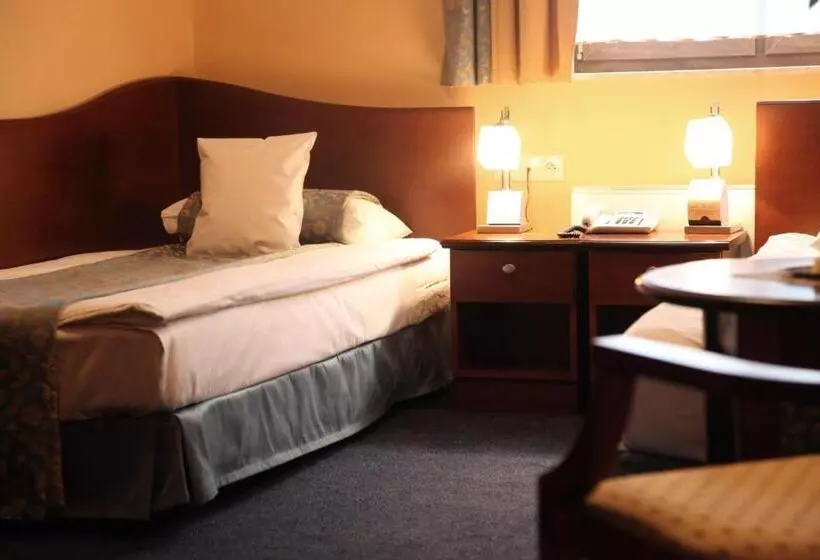 Отель Ambasadorski Rzeszów