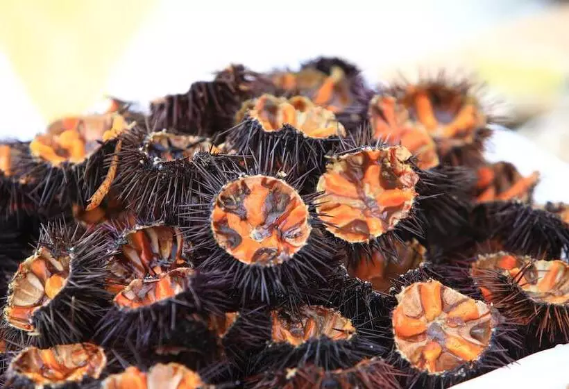 Отель La Casarana Wellness Ecoresort