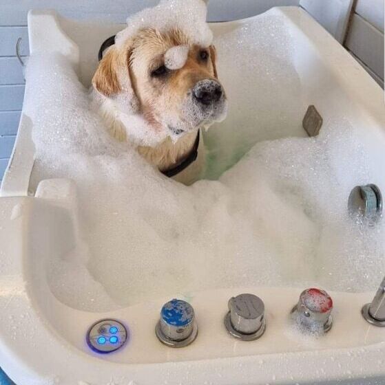 Отель La Casarana Wellness Ecoresort