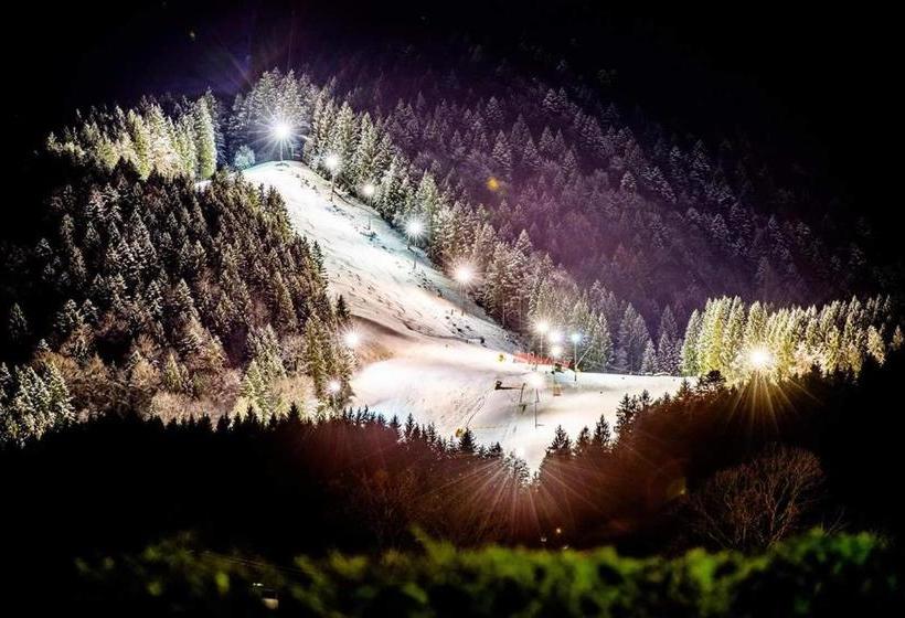 Отель Seegarten