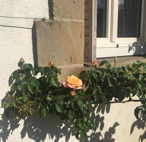 Bed and Breakfast Augustodun Home