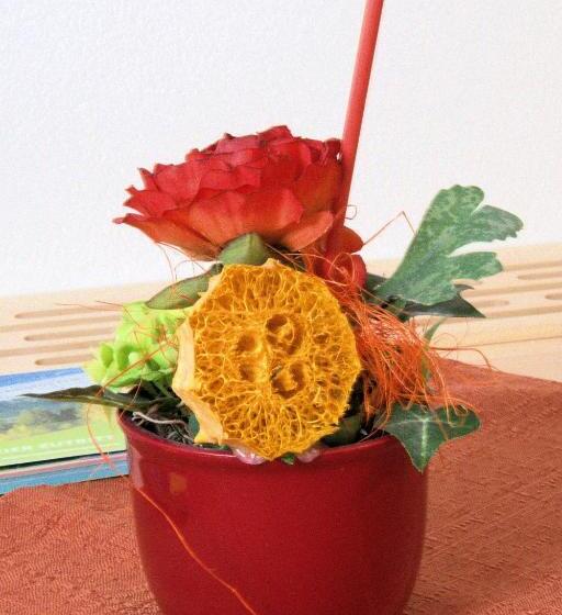 Bed and Breakfast Gästehaus Pürstl Kocher