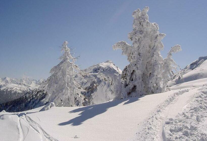Bed and Breakfast Gästehaus Pürstl Kocher