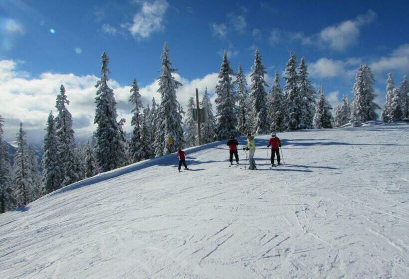 Bed and Breakfast Gästehaus Pürstl Kocher