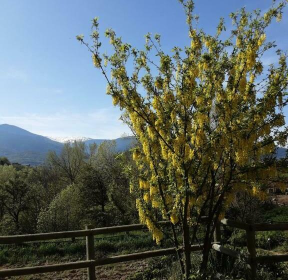 住宿加早餐  Mas Rondole   Chambres D Hôtes