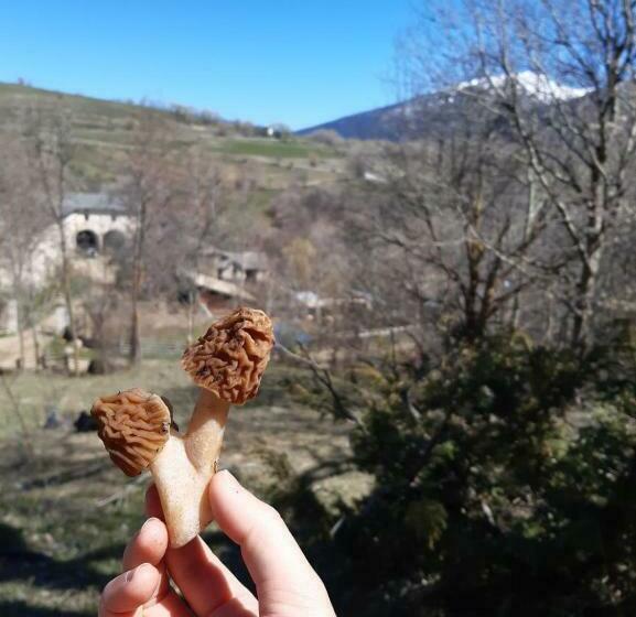 住宿加早餐  Mas Rondole   Chambres D Hôtes